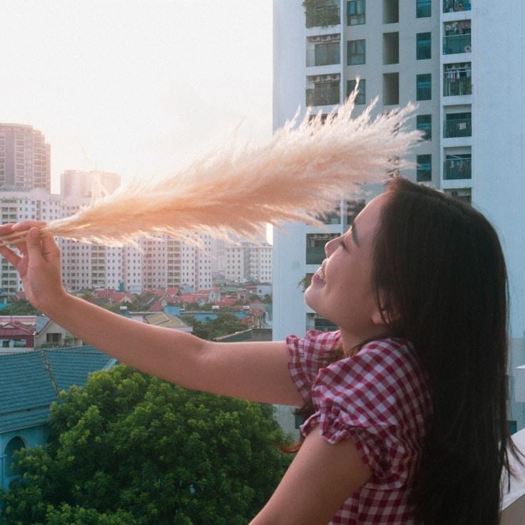 Professional backdrop